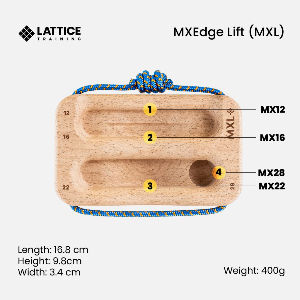 #size_mx large