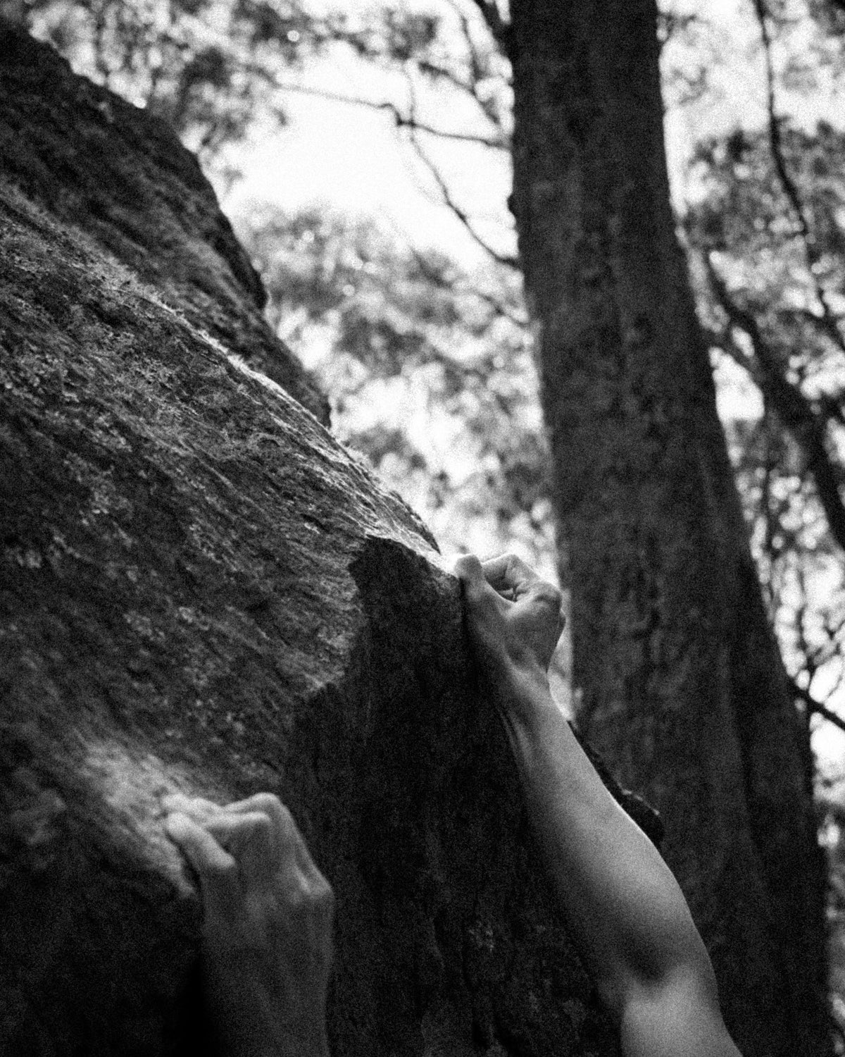 FiveFoot Striving For Progress Crop Top